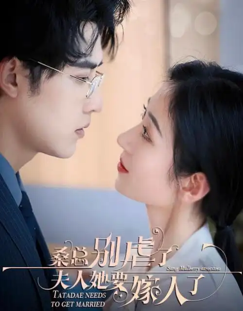深巷灯火热播电视剧全集在线观看